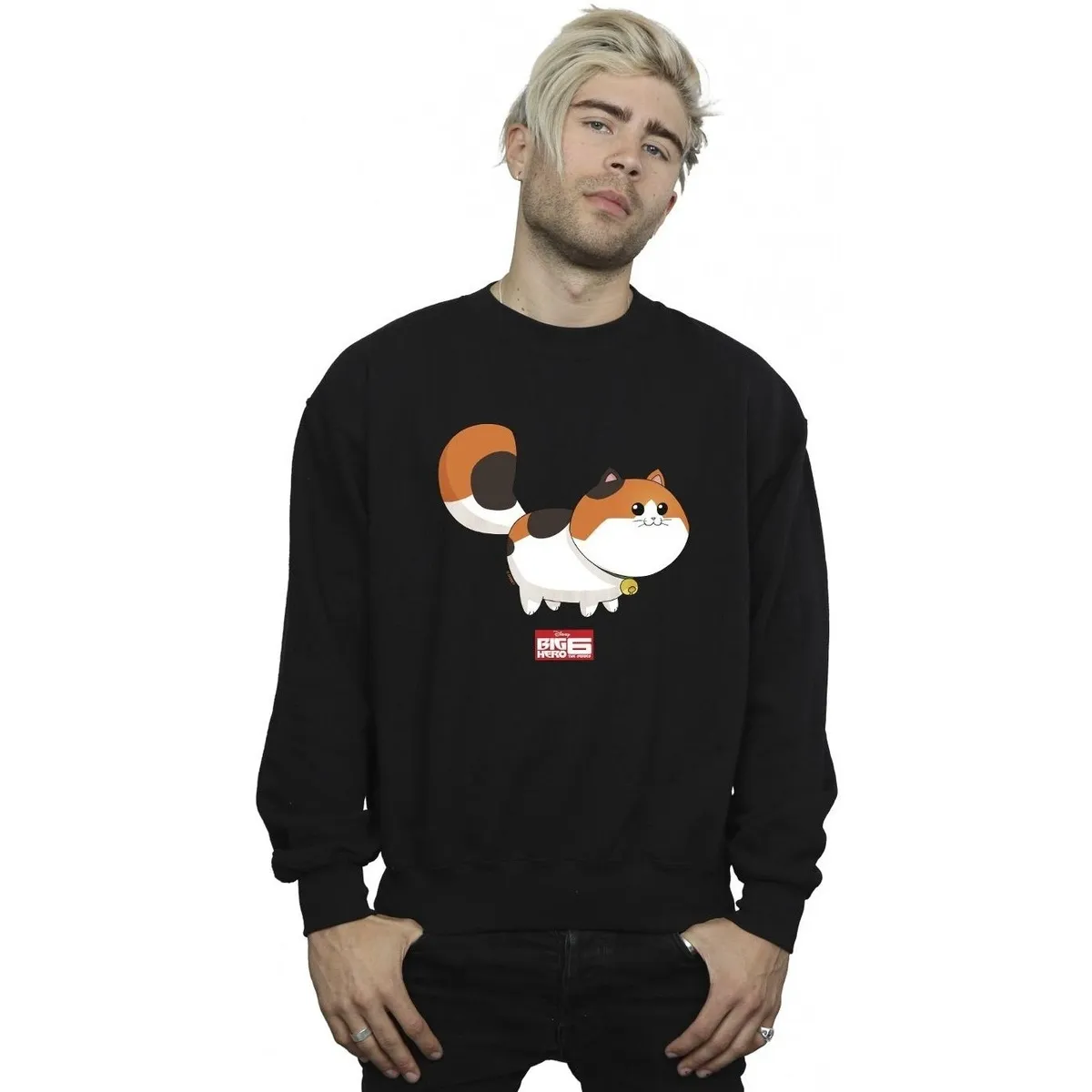 Big Hero 6 Baymax Kitten Pose