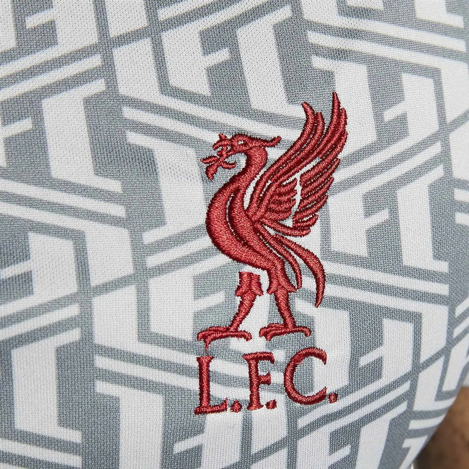 CAMISETA NIKE LIVERPOOL PREMATCH