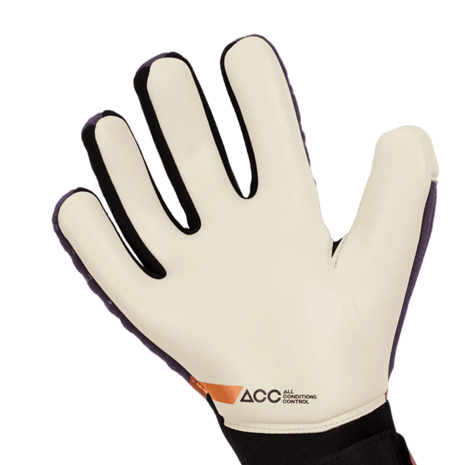 Nike GK Phantom Elite