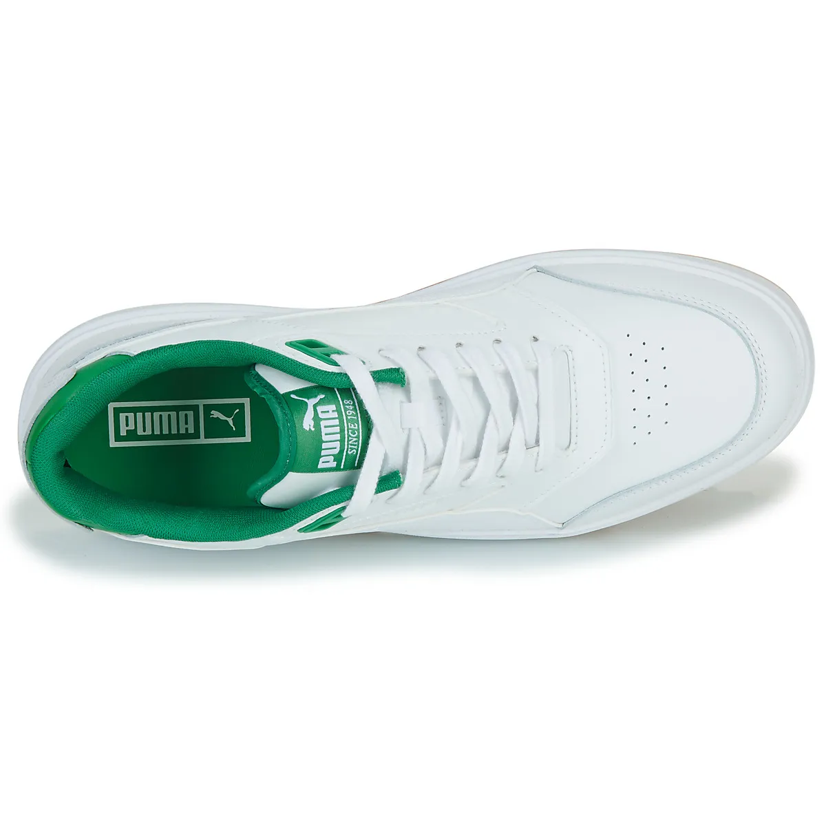 PUMA Backcourt