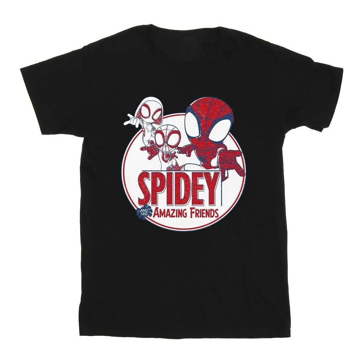 Spidey And His Amazing Friends Circle