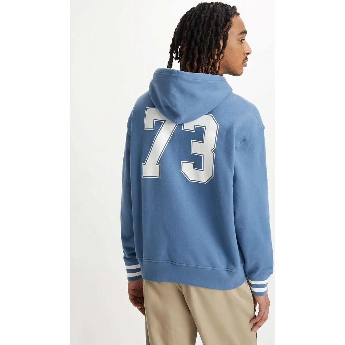 SUDADERA LEVI'S® RELAXED GRAPHIC HOODIE 384790121