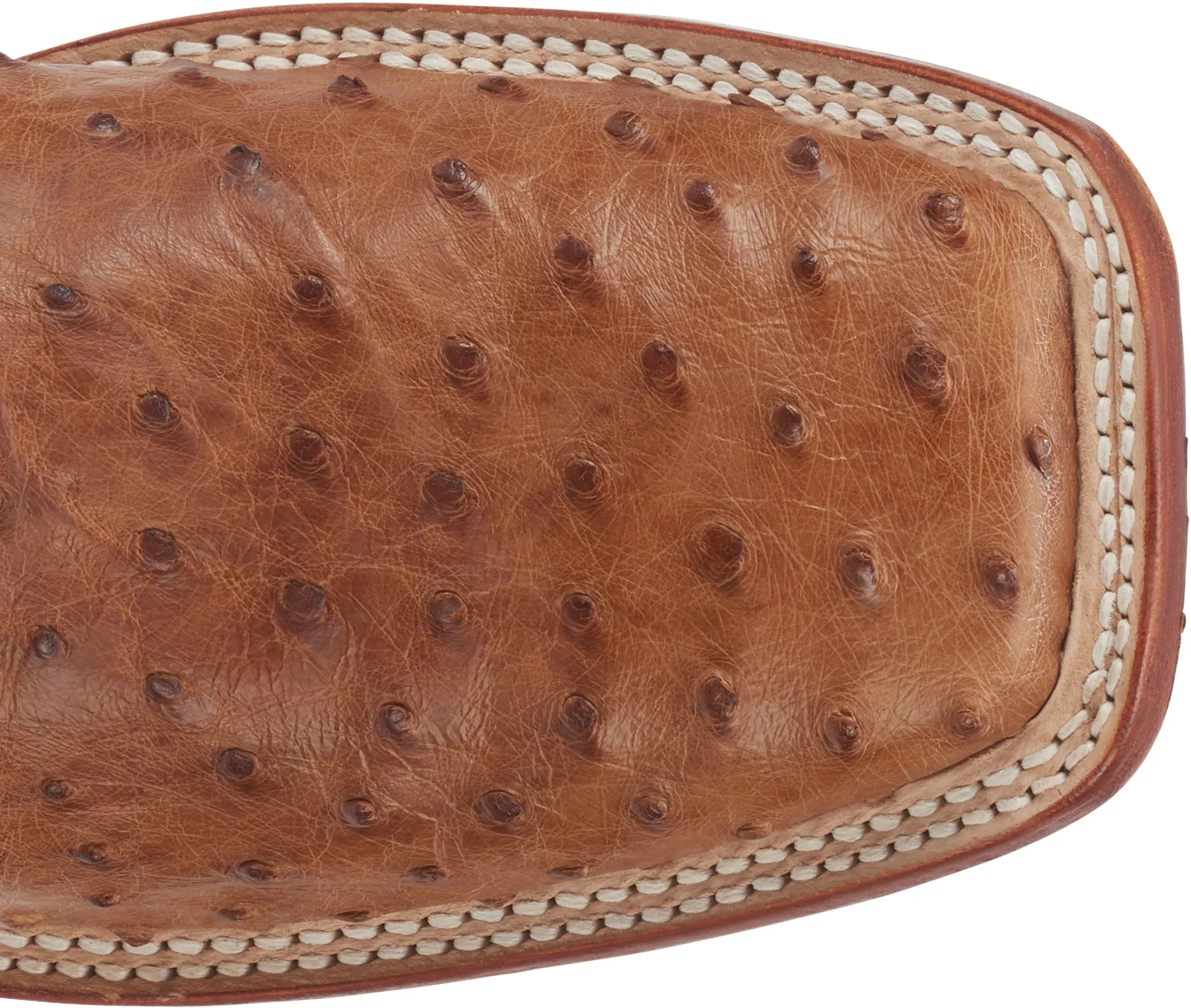 Truman 11" Full Quill Ostrich 